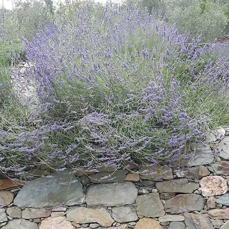 Bed & Breakfast Ort Holiday's Time Orco Feglino