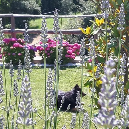 Ort Holiday's Time Bed & Breakfast Orco Feglino