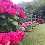 Bed & Breakfast Ort Holiday's Time Orco Feglino