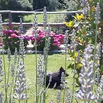 Ort Holiday's Time Bed & Breakfast Orco Feglino