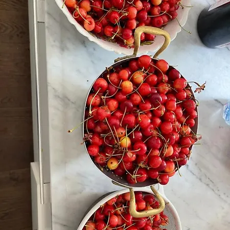 Ort Holiday's Time 3*