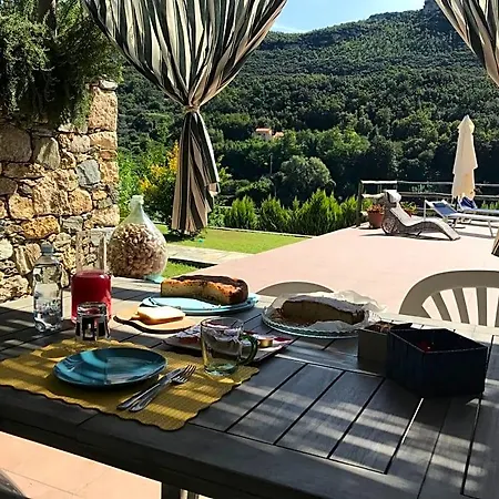 Ort Holiday's Time