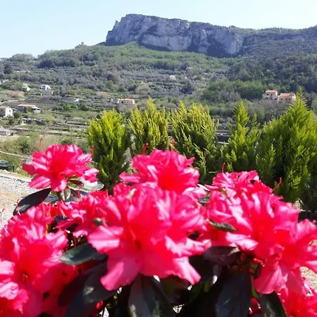 Ort Holiday's Time * Orco Feglino