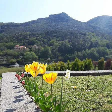 Bed and breakfast Ort Holiday's Time 3*