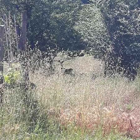 Ort Holiday's Time Panzió Orco Feglino