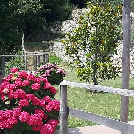 奥尔特度假时光住宿加早餐旅馆