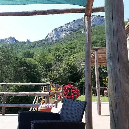 Ort Holiday's Time