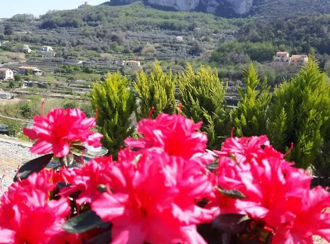 Ort Holiday's Time 3* Orco Feglino