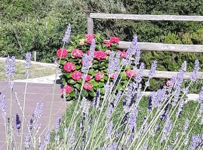 Ort Holiday's Time Орко-Фельино