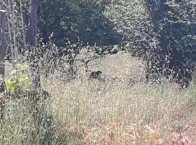 Ort Holiday's Time Отель типа 