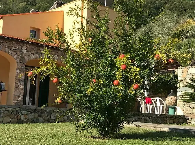 Ort Holiday's Time Отель типа 