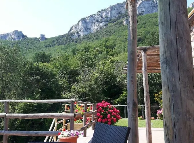 Ort Holiday's Time